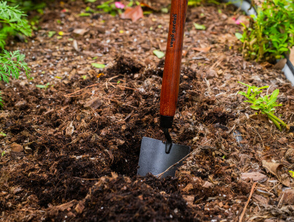 Vego garden beds