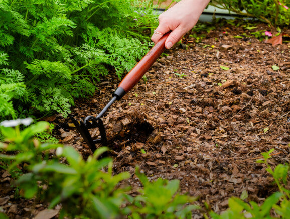 Vego garden beds