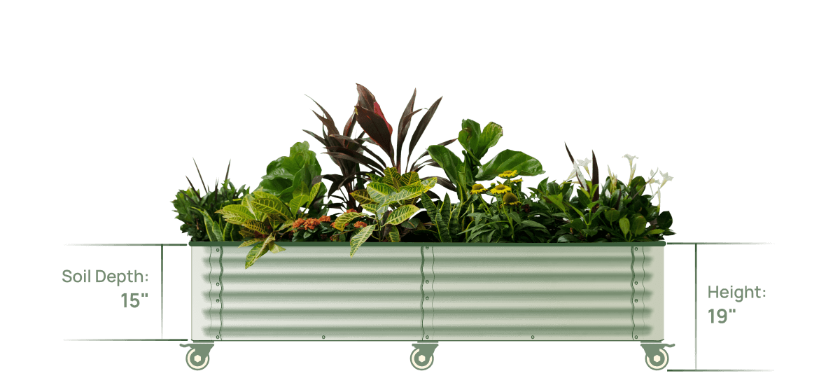 Vego garden beds