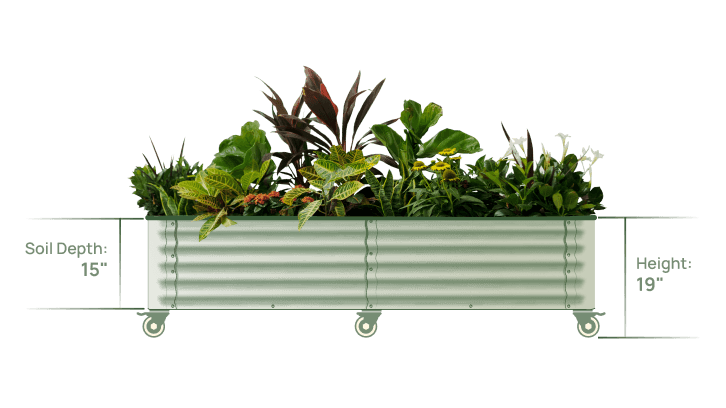 Vego garden beds