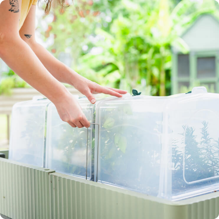Vego garden beds