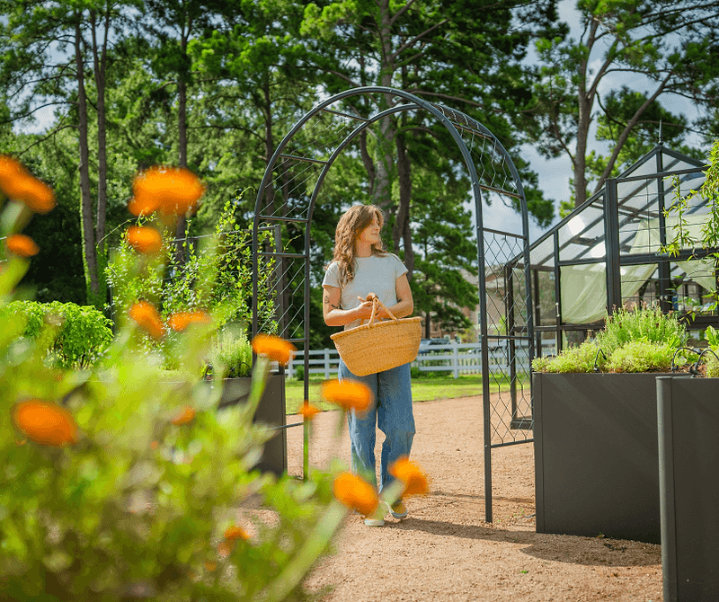 Vego garden beds