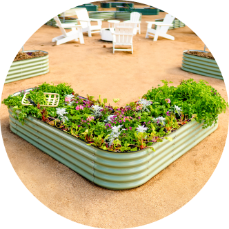 Vego garden beds