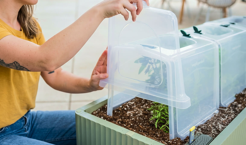 Vego garden beds