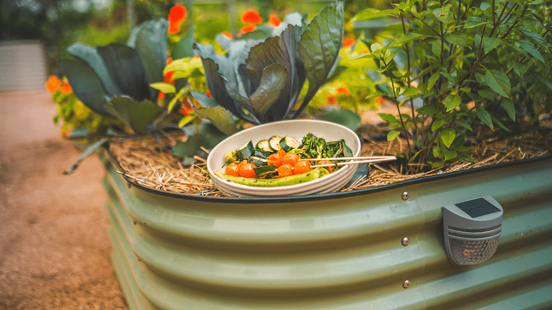 Vego garden beds