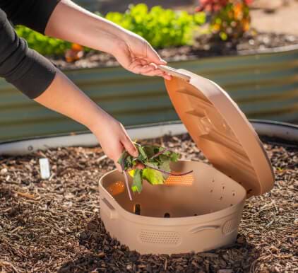 Vego garden beds