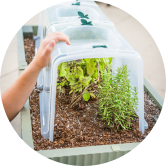 Vego garden beds