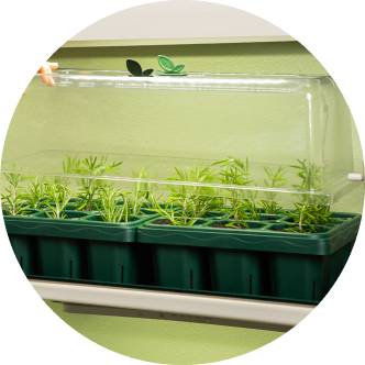 Vego garden beds