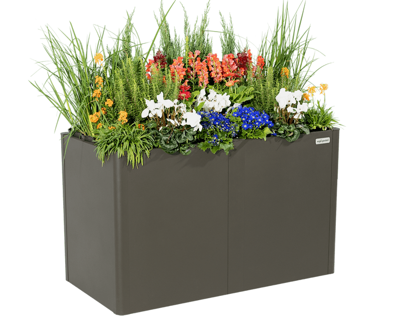 Sleek, Modern Gardening