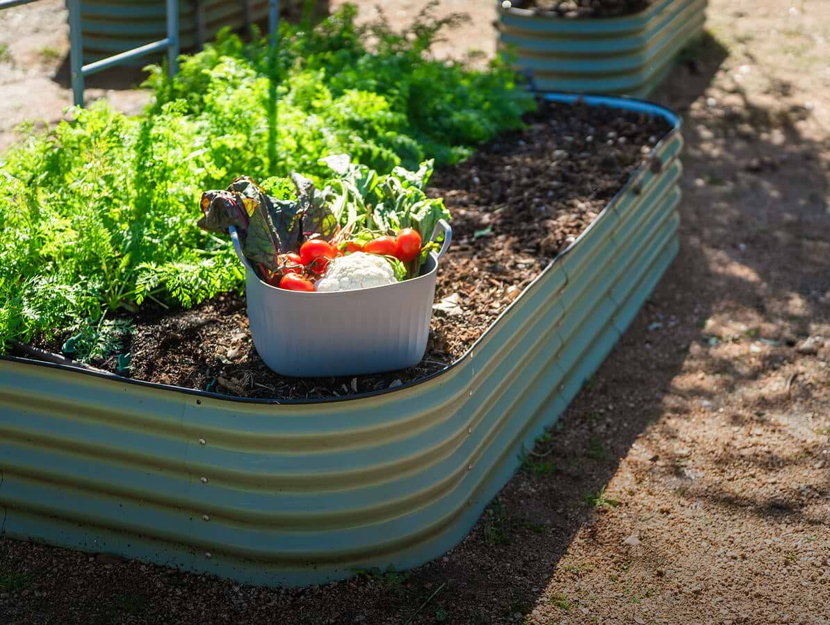 Small Garden Jobs