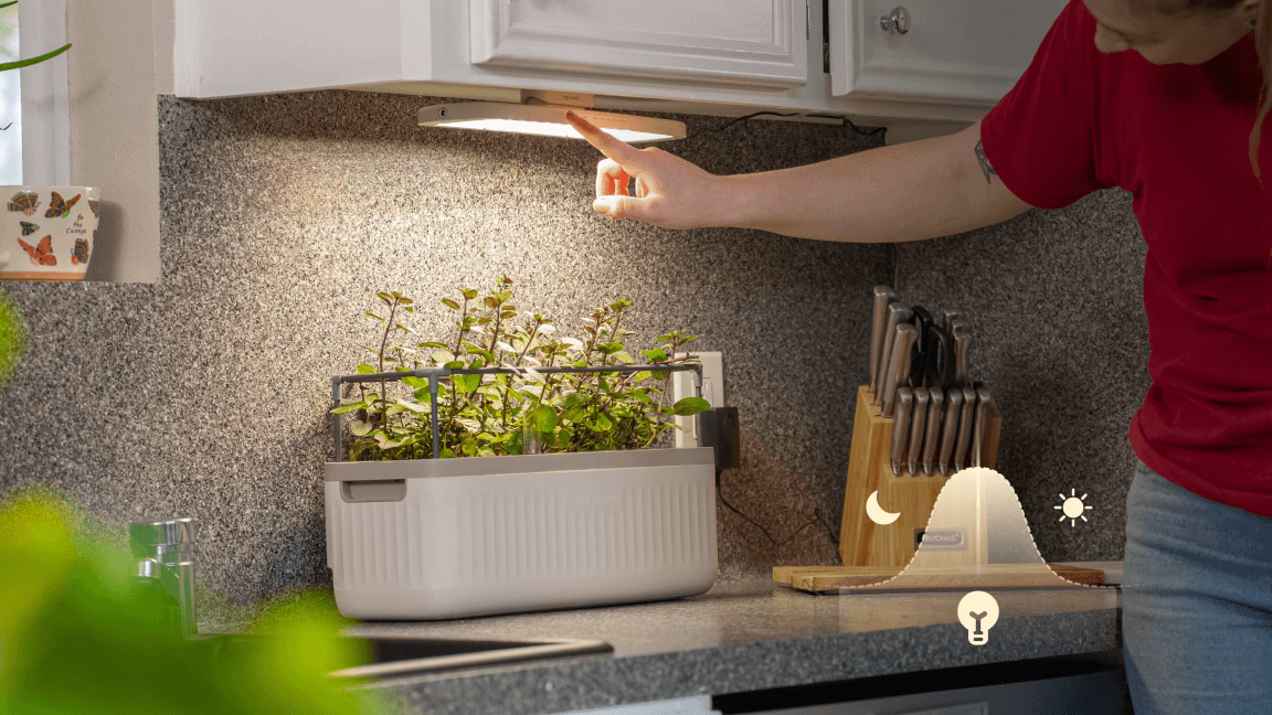 Smart Adaptive Lighting