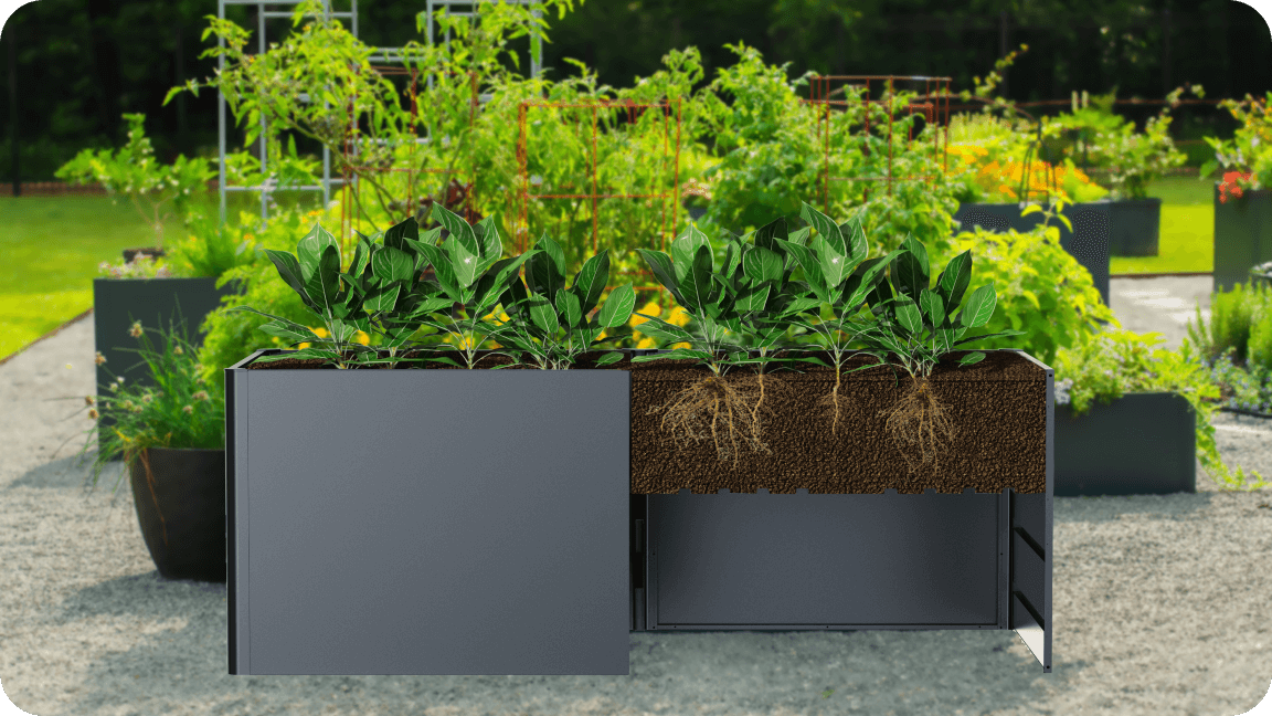 Vego garden beds