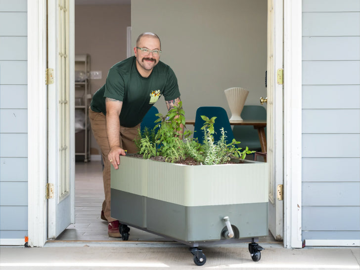 Vego garden beds