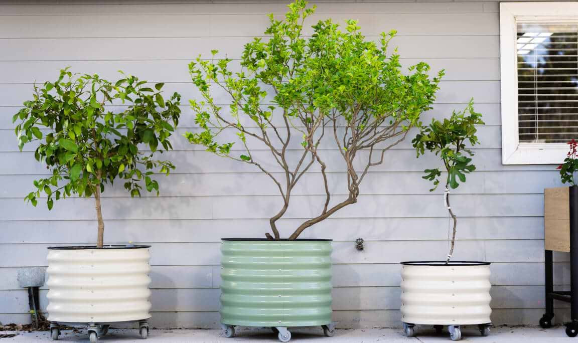 Vego garden beds