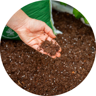 Vego garden beds