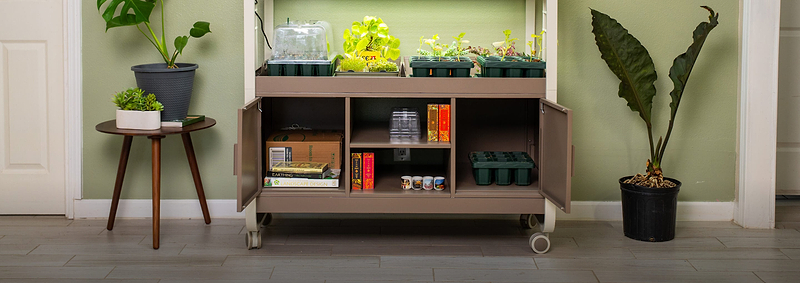 Vego garden beds