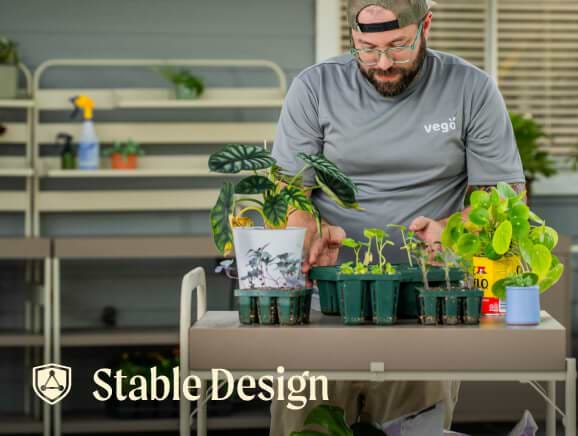 Vego garden beds