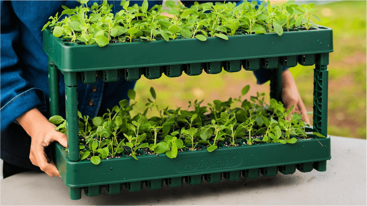 Vego garden beds
