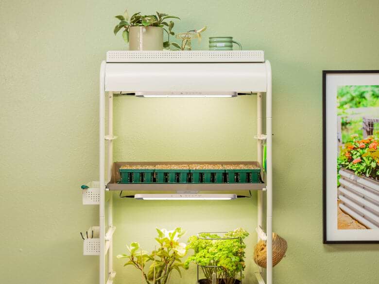 Vego garden beds