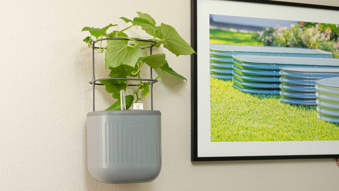 image_Stylish & Practical