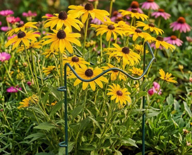 Vego garden beds
