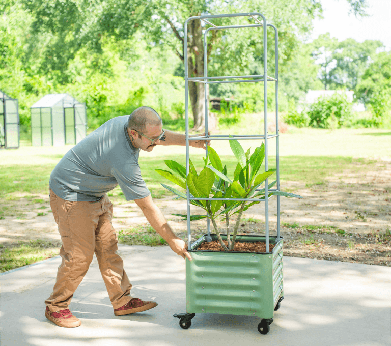 Vego garden beds