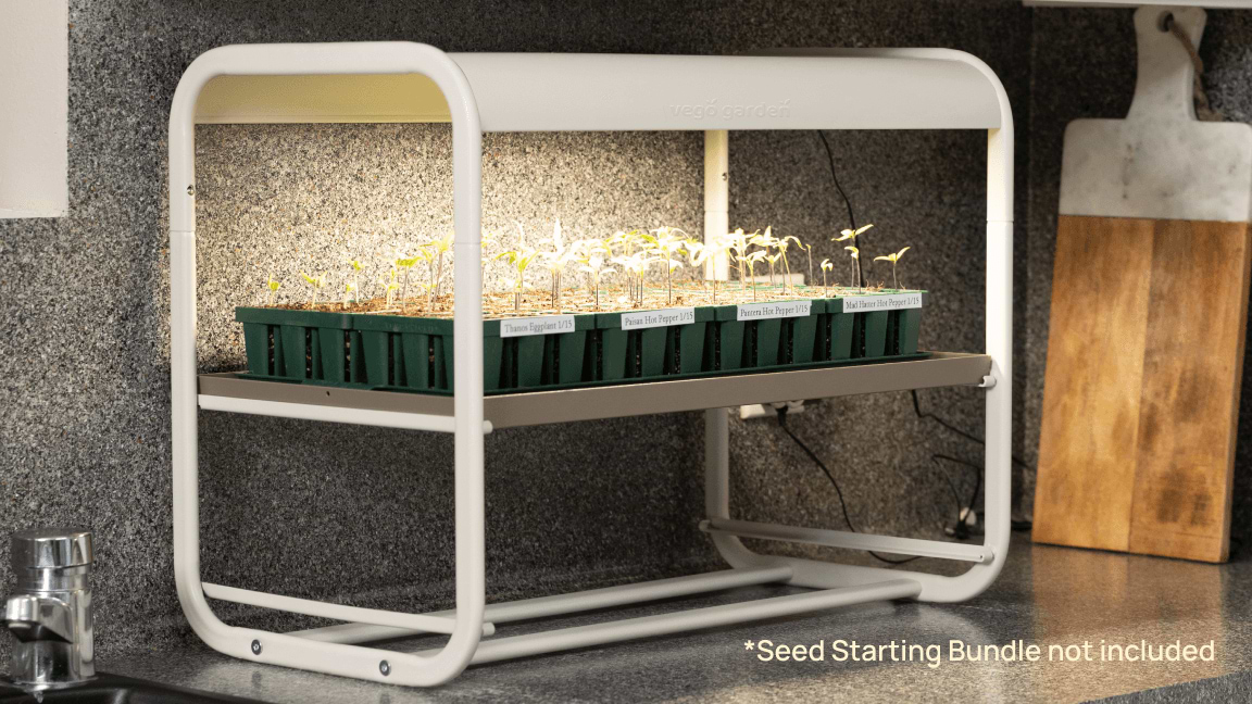 Seed Starting Made Easy