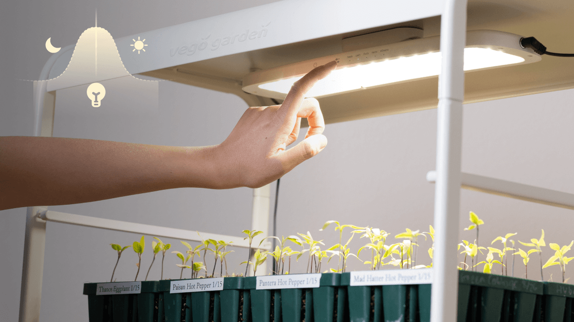 Smart & Adaptive Lighting