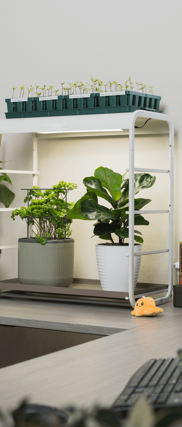 Vego Garden