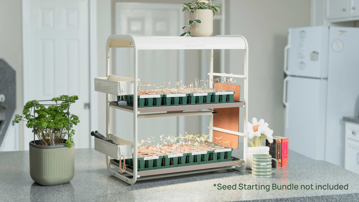 Seed Starting Made Easy