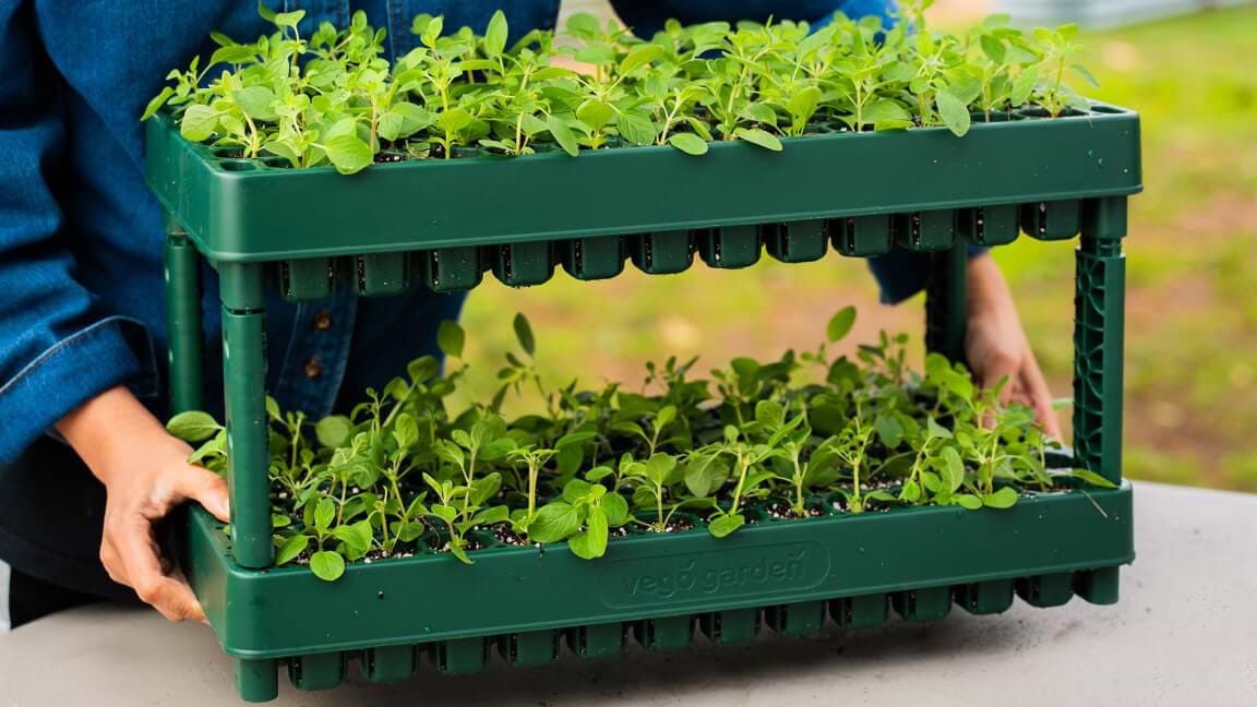 Vego garden beds