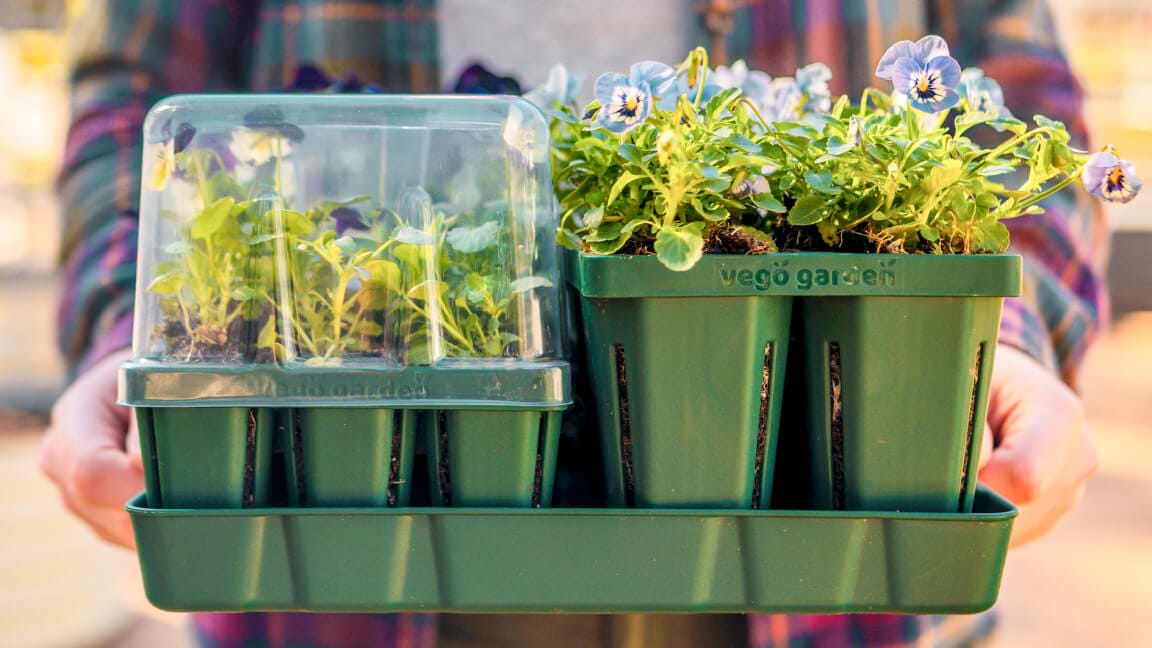 The Last Seedling Trays You’ll Ever Need