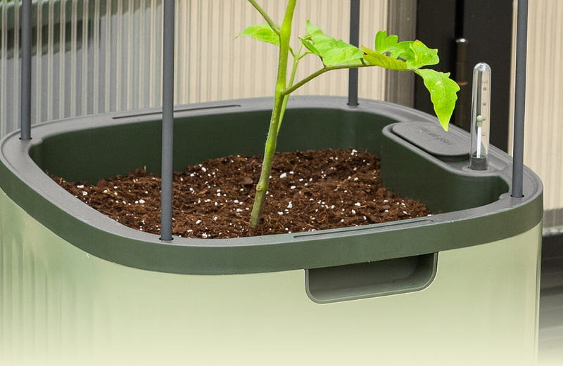 Vego garden beds