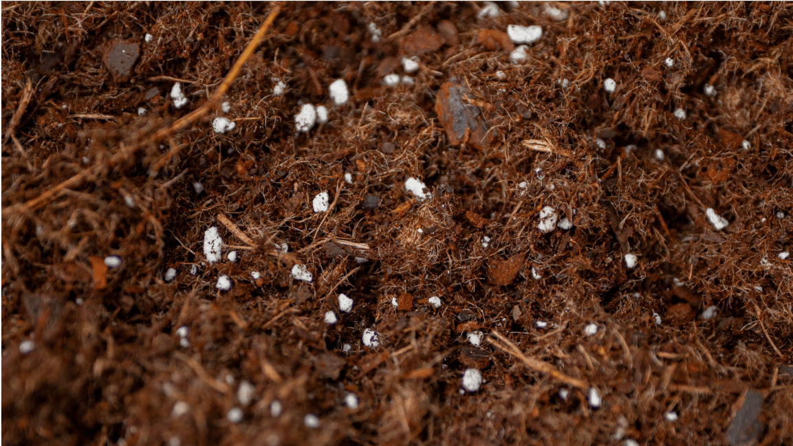 Vego garden beds