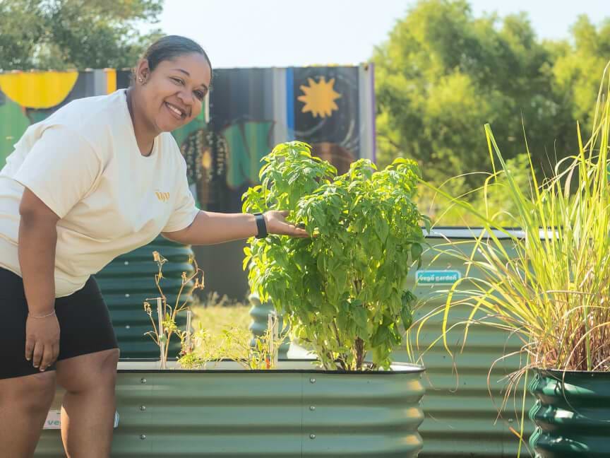Vego garden beds