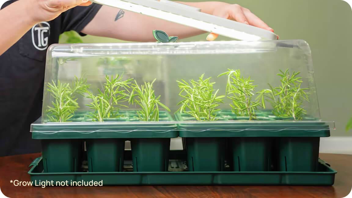 Vego garden beds