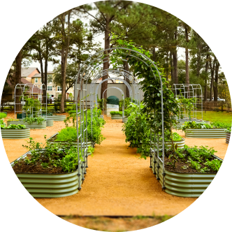 Vego garden beds