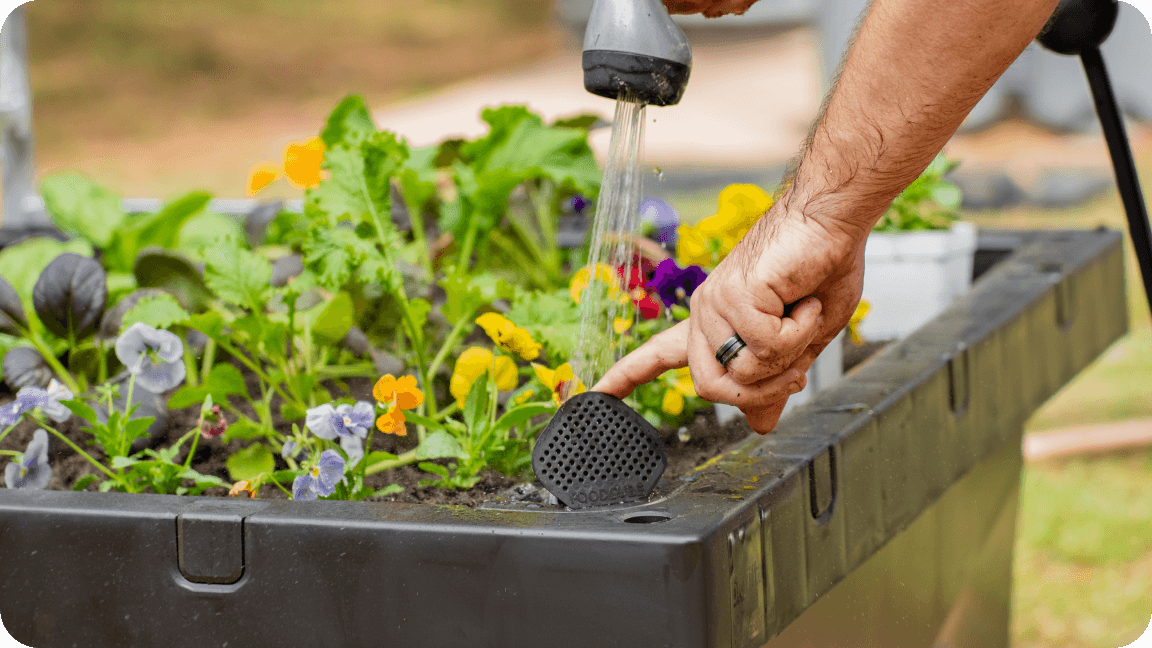 Vego garden beds