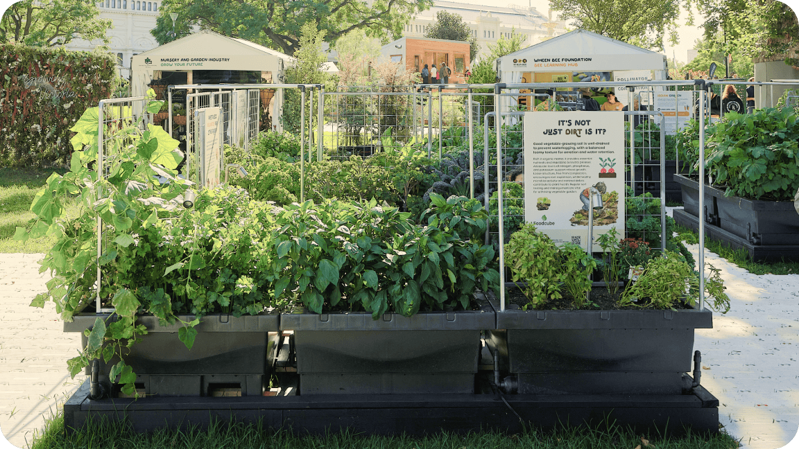 Vego garden beds