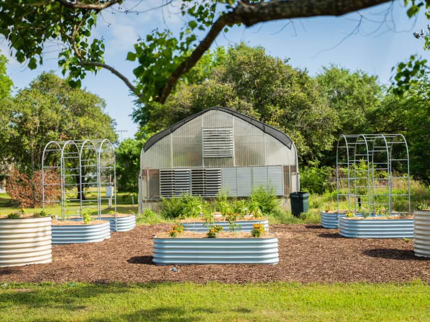 Vego garden beds
