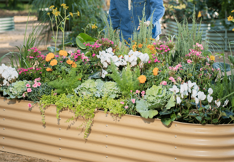Vego garden beds