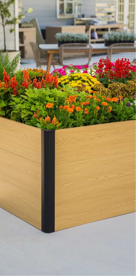 Vego garden beds