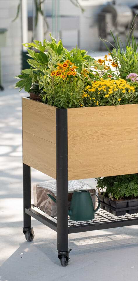 Vego garden beds