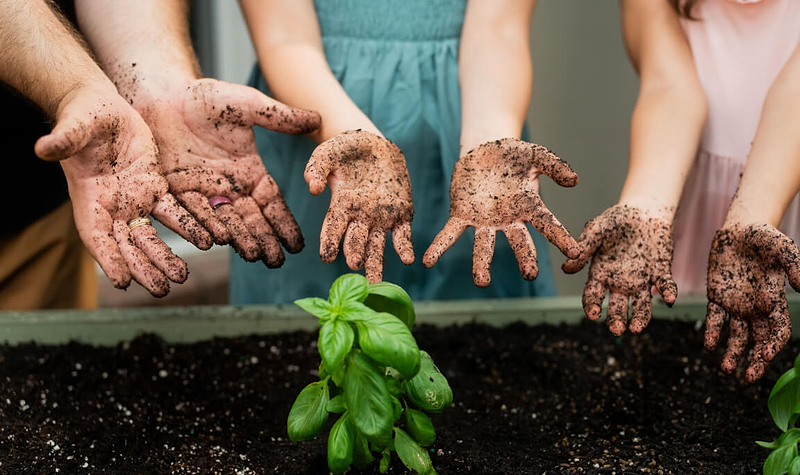 Vego garden beds