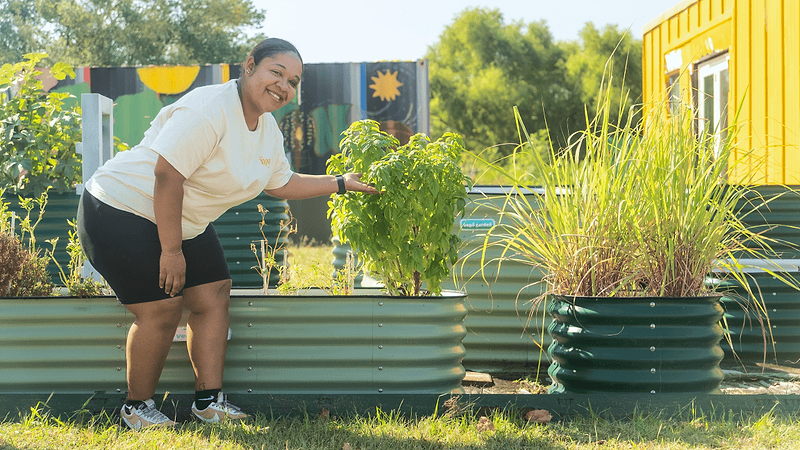 Vego garden beds