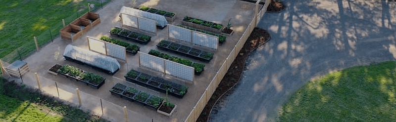 Vego garden beds