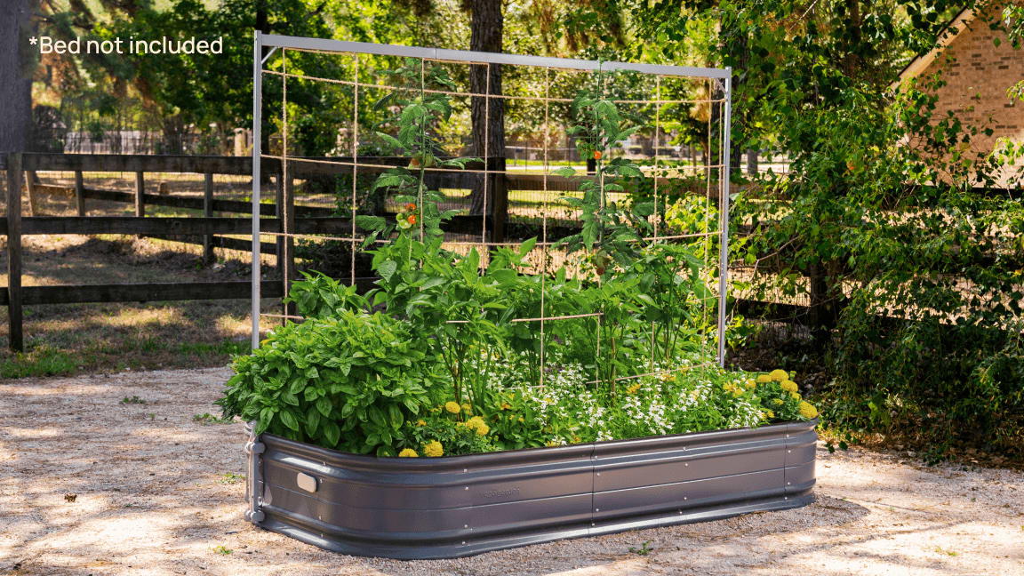 Vertical Growing Shouldn’t Be An Uphill Battle