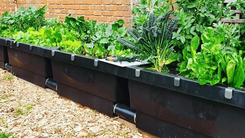 Watering Simplified
