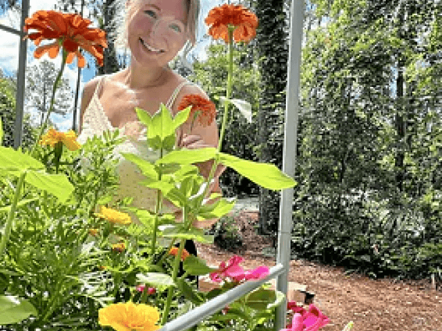 Vego garden beds
