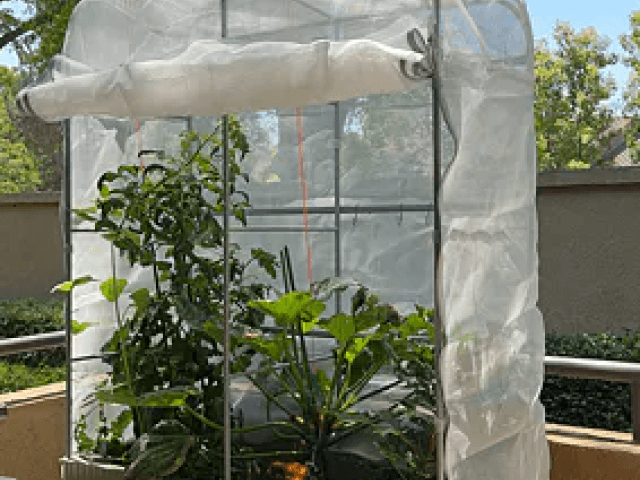 Vego garden beds
